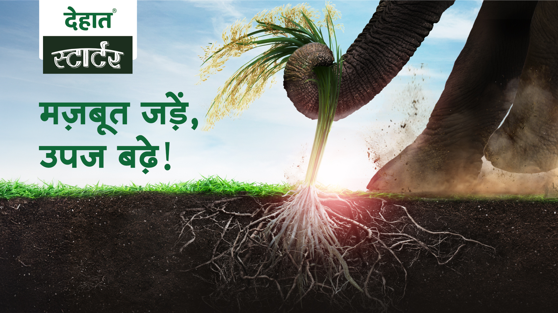 Making strength impossible to ignore.